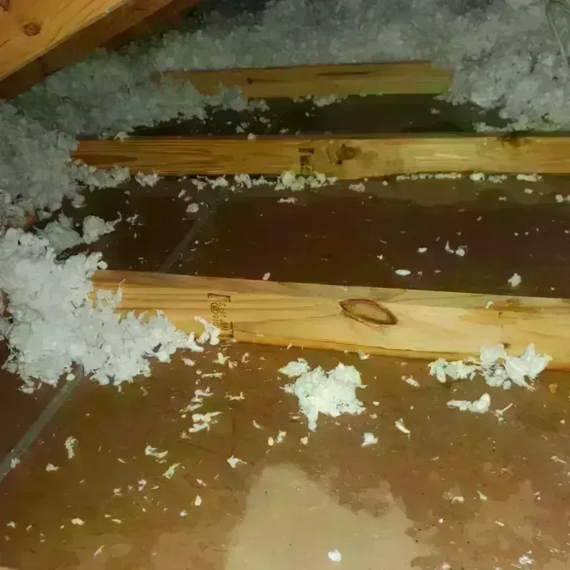 Attic Water Damage in Aledo, IL