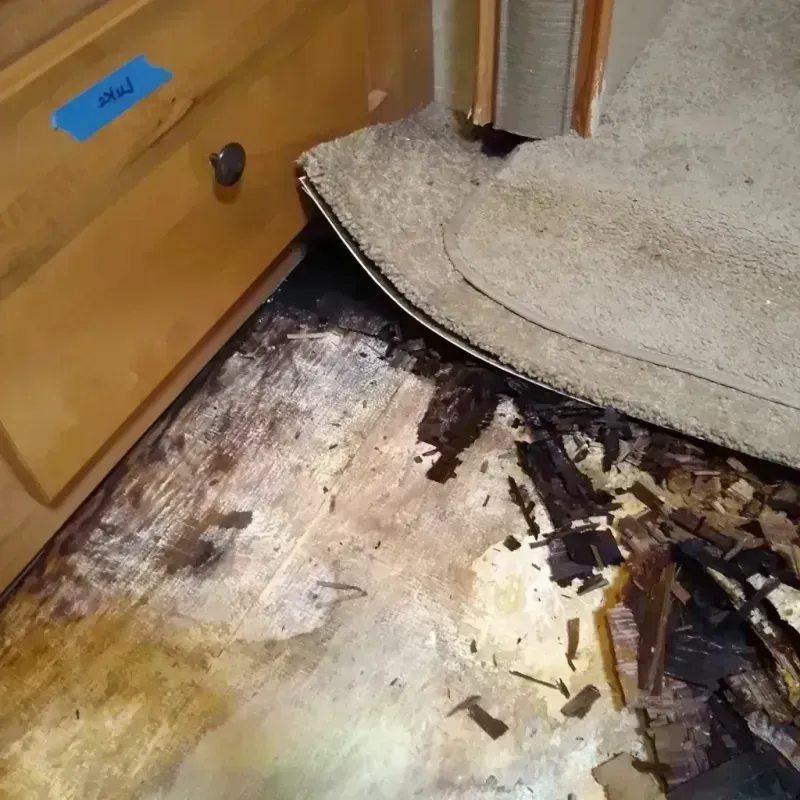 Wood Floor Water Damage in Aledo, IL